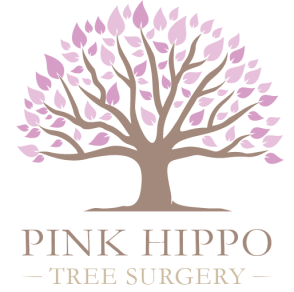 Pink Hippo Tree Surgery